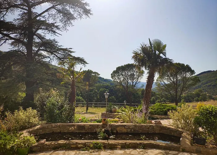 Dom wakacyjny Le Cedre De Prades 4 Etoiles Entier Parc Naturel Languedoc - Salagou Dio-et-Valquieres