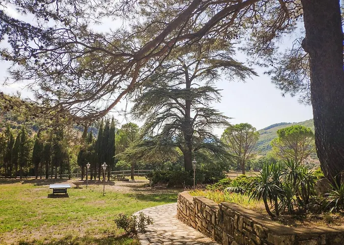 Dom wakacyjny Le Cedre De Prades 4 Etoiles Entier Parc Naturel Languedoc - Salagou Dio-et-Valquieres