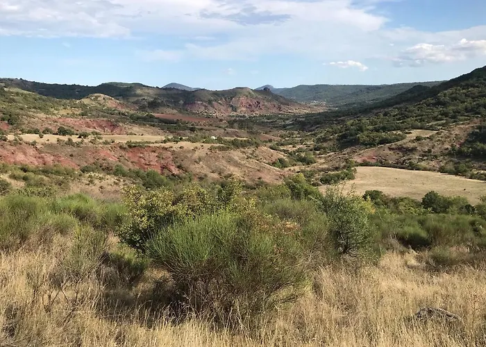 Le Cedre De Prades 4 Etoiles Entier Parc Naturel Languedoc - Salagou Dio-et-Valquieres